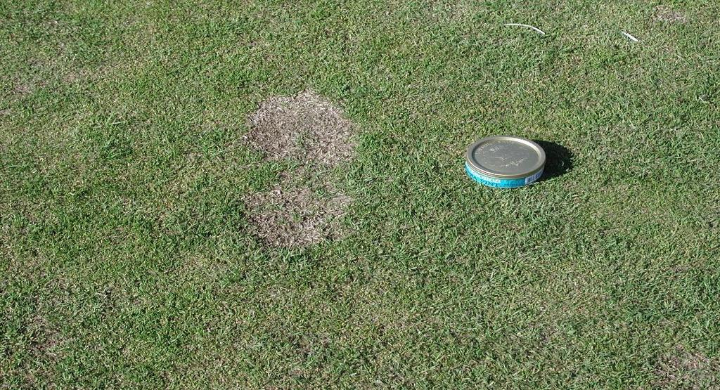 Synpunkter på vinterspel på golfbanan Vikten av att golfspelare, gående eller med golfbil inte beträder greener eller andra klippta gräsytor som är frusna kan inte nog understrykas.