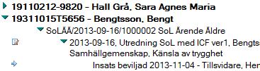 Handledning Myndighet SoL/LSS 5 Bild 3-Twisty Funktionsknappar I alla vyer och dokument visas funktionsknapparna överst i den blå raden.