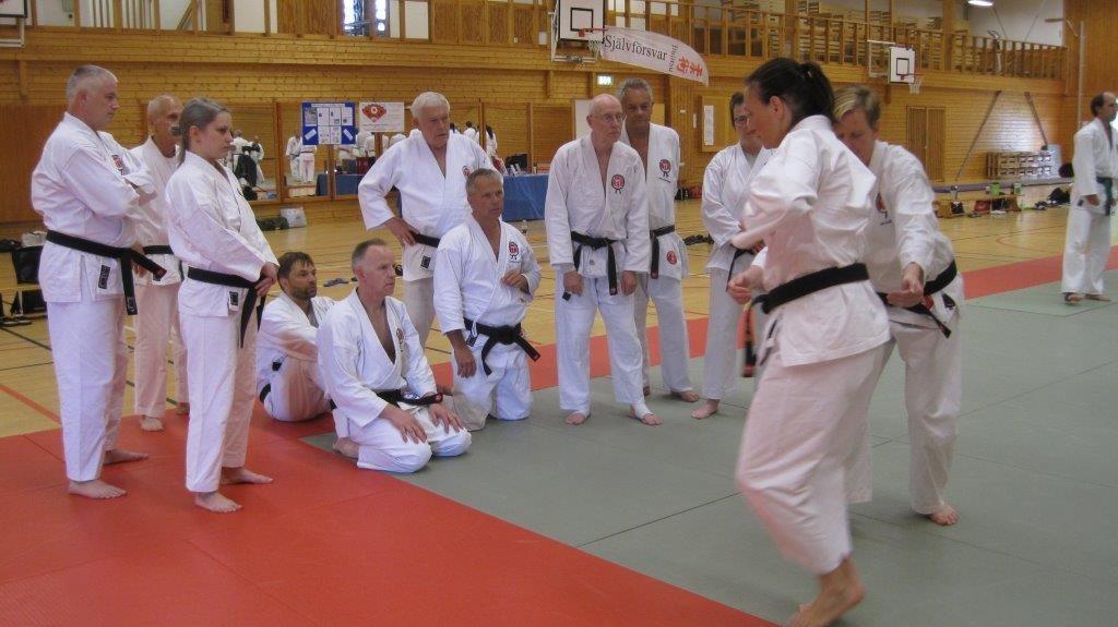Annika G Bernhardt, JK Seisin, och Malin Knoop, JK Kano Specialinstruktören Annika G Bernhardt poängterar Malins försvar mot Anders Veléns angrepp med flaska.