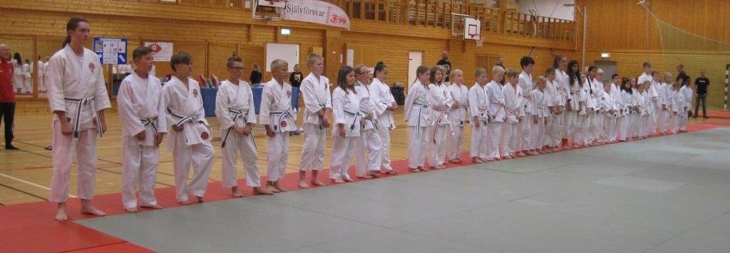 Äntligen var det här! Årets stora jiujitsuhändelse, Camp Dojo, gick av stapeln i juni 2017.