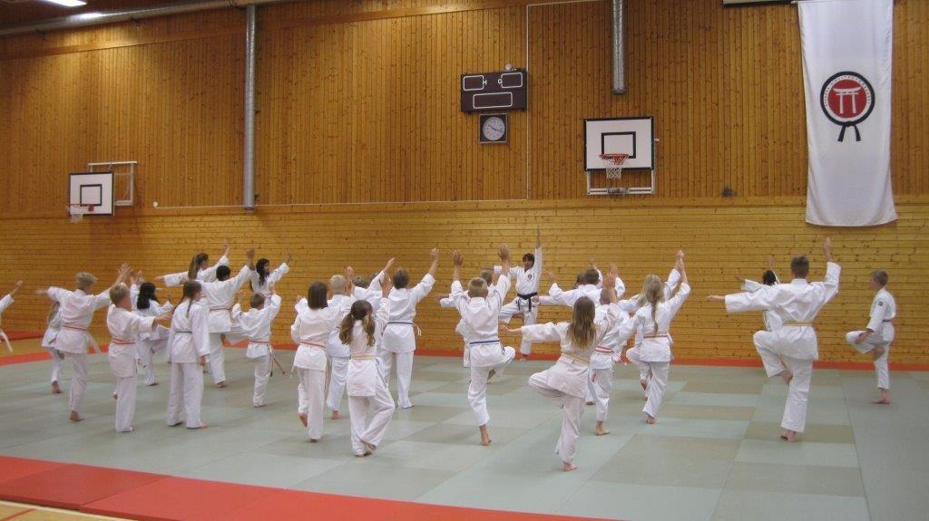 Camp Dojo 2017 Gymnastikhallen fylldes så sakteliga på av jiujitsukas under förmiddagen.