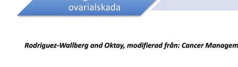 Imatinib Erlotinib Bevacizumab Modifierad från: Rodriguez-Wallberg KA. Principles of cancer treatment: impact on reproduction. Adv Exp Med Biol 2012; 732:1-8 (Referens 13).