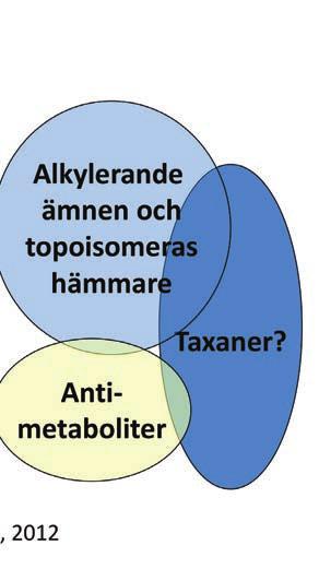 bröstcancer och fertilitet BETYDELSE AV KEMOTERAPI VID BRÖSTCANCER FÖR FOLLIKELNS SPECIFIKA UTVECKLINGSSTADIER Figur 2. till kraftig sänkning av antalet folliklar.