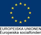 Introduktion Vi blir fler! Integration, Kompetens och Organisation i Kalmar Län (IKO) PROJEKTPLAN Platsens betydelse för integration bör inte underskattas.