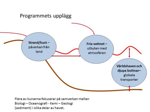 behörighet och