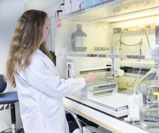 Viktiga händelser senaste 12 månaderna - i korthet Blockerare av Fractalkine receptorn Fractalkinereceptorn, CX3CR1, styr cancerceller och immunsystemet.