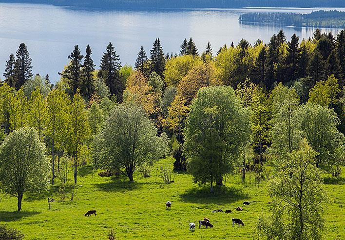 alla: från ord till handling Hotel