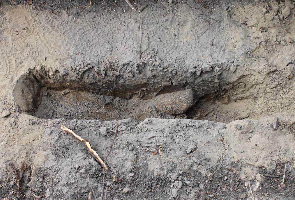 Figur 11. Ett dike (A6) i norra delen av schakt 4. I botten av schaktet fanns en stor sten. Foto mot väster. Foto: Lars Jönsson, Österlenarkeologi.