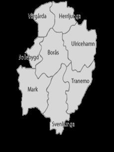 Boråsregionens ehandlingsplan