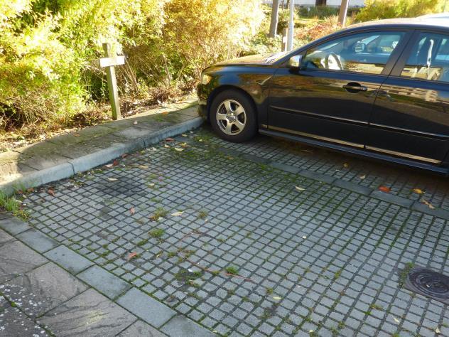 Figur 10. Exempel på utformning av parkeringsplats med betongsten med glesa fogar. Foto: WRS.
