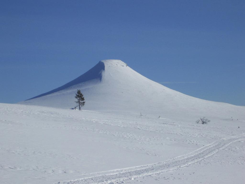 Nordisk Miljörättslig Tidskrift Nordic