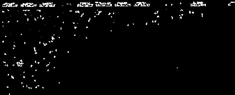 /6/ / 91/ :,