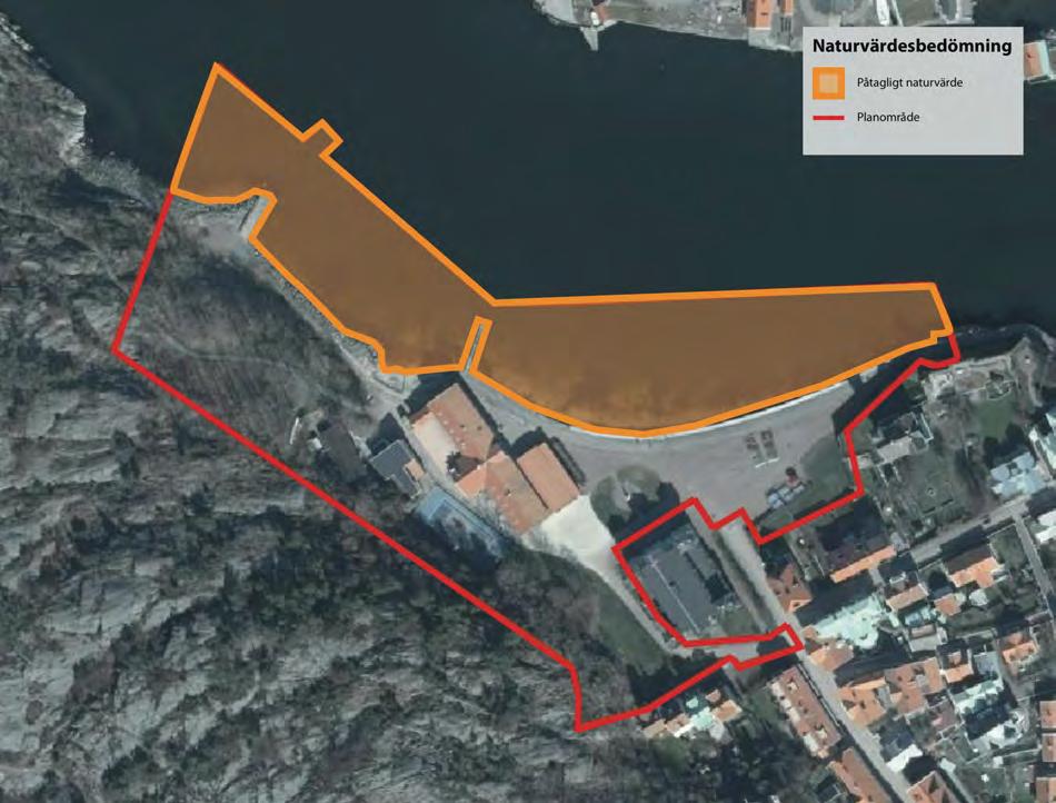 811 - Marinbiologisk utredning Marstrand 5.39 Naturcentrum AB 2016-05-17 Figur 9. Karta över avgränsat naturvärdesobjekt.