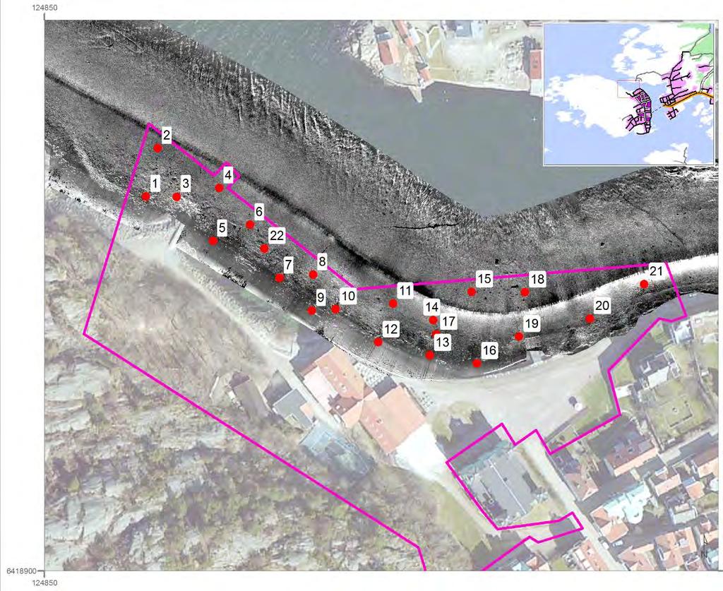 Inledning På uppdrag av Naturcentrum AB har Medins Havs- och Vattenkonsulter AB karterat en del av Marstrands hamn (Figur 1).