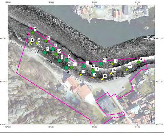 Grus med inslag av skal Sten Sten/Block Fintrådiga