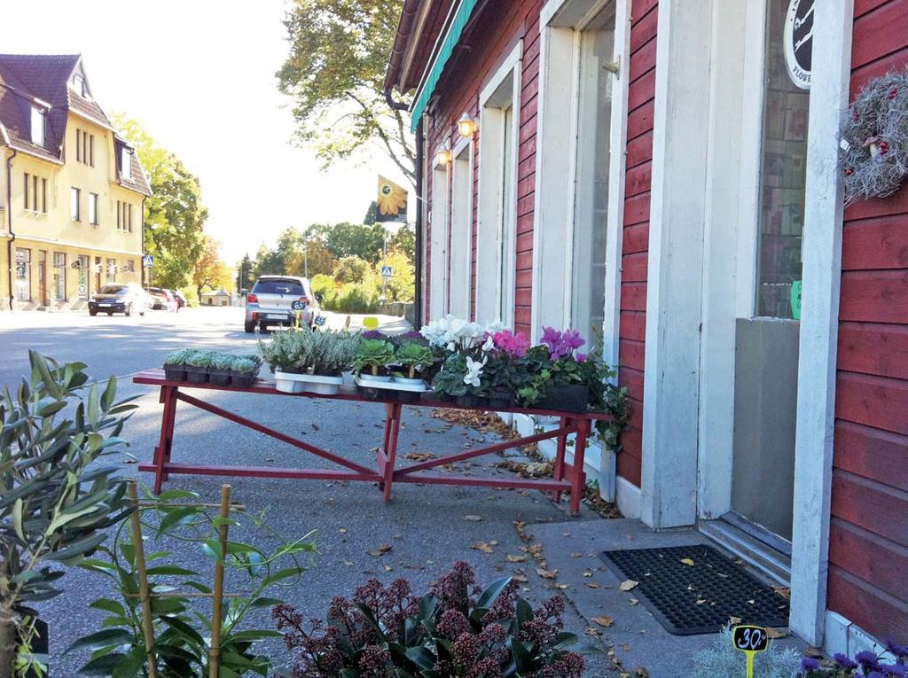 Marklutnig Sonjas blommor Marken vid Sonjas blommor lutar in
