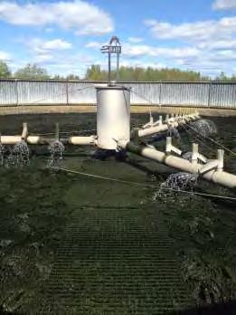 7. Vattnet rinner vidare till pumpar som lyfter vattnet till biobädden där nedbrytningen av BOD7