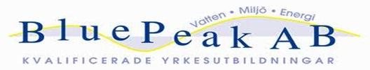 Examensarbete 30 poäng 2015