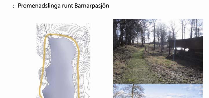 4. Promenadslinga runt Barnarpasjön I insamlingen av bakgrundsmaterial till handlingsplanen är det klart