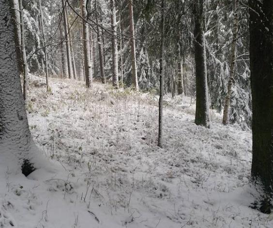 vid tegelbruket, vare sig ensam eller tillsammans med Nyléns folk, utan att han kan göra bättre nytta där han nu istället befinner sig.