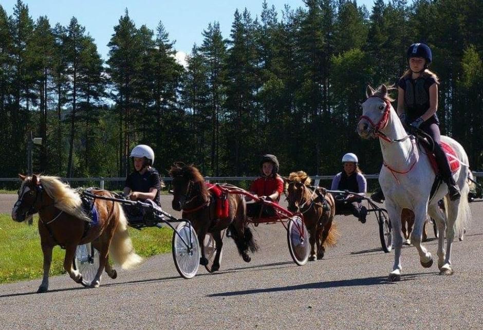 Grön 1:1 hotingtravets lopp Kategori B, körda av C- eller D- licensinnehavare. 00 m. Tillägg Specialarn 1.,0. Regler, se sista sidan i ponnypropositionerna. Prispoäng: 1.00-600-00-00-00-(100).
