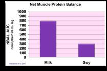 protein synthesis (% ) Infusion AA Ingestion of EAA Whey Beef
