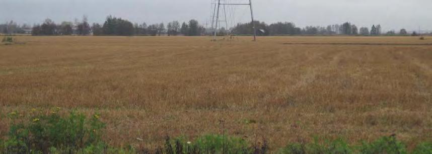 400 kv kraftledningsområde. Bild 5.10.