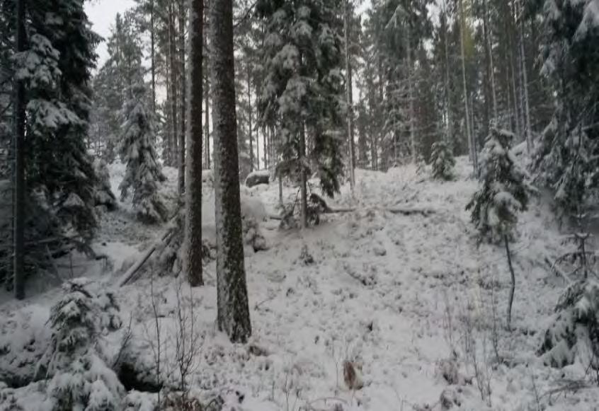 Vid den tänkta placeringen av tillfartsväg till vindkraftverk WTG07 återfanns isälvsavlagringar omgivna av morän och berg. 7.1.