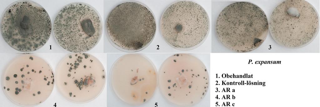 80.0 B. C. cuttum Mycelium tillväxt (mm) 60.0 40.0 20.0 0.0 Oehndlt Kontroll-lösning AR AR AR c Behndlingr 100.0 C. N. perennns Mycelium tillväxt (mm) 80.0 60.0 40.0 20.0 0.0 Oehndlt Kontroll-lösning AR AR AR c Behndlingr Fig.