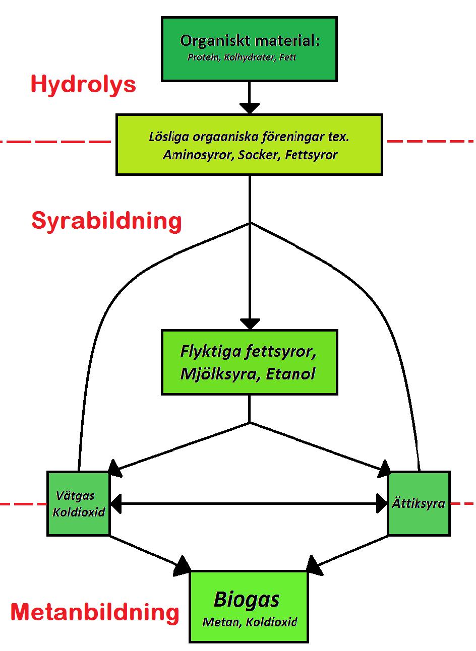 Det finns också psykrofila (15 ) eller extremt termofila (>65 ) processförhållanden men de är inte särskilt vanligt förekommande (Lantz, 2007).