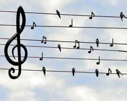 Onsdag 24 oktober 18.00 Fredag 26 oktober 19.00 Konsert med Kulturskolan för Världens Barn Kulturskolans elever ger en konsert med dans, musik och sång för dig och för världens barn.