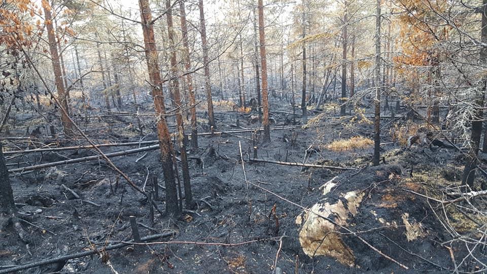 Juli Under bränderna i Hälsingland har flera av Hofors-Torsåkerskårens
