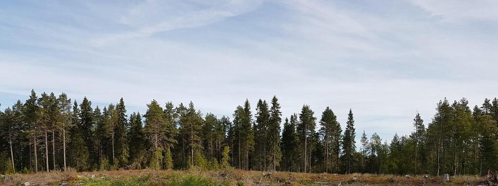 6 BEFINTLIGA FÖRHÅLLANDEN 6.1 TOPOGRAFI OCH YTBESKAFFENHET Marken på fastigheten har tidigare varit bevuxen av blandskog men har nu kalhuggits, se bild 2 nedan. Marken sluttar mot sydväst.
