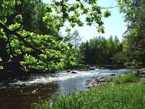 .. 14 Revsundssjöns södra FVOF... 15 Sidsjö-Stugusjö FVOF... 16 Storåsen-Albackens FVOF... 17 Sundsjöns FVOF... 18 Sörbygdens FVOF... 19 Övre Gimåns FVOF... 20 Länkar... 21 Ett europeiskt fiskeparadis!