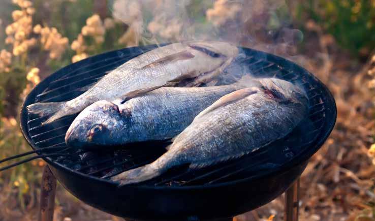 Goda fiskrecept 11 fiskevårdsområdesföreningar Följande fiskevårdsområdesföreningar medverkar i projektet Fiske för alla Stekt abborre 4 portioner Tid: 30 minuter Ingredienser: 4 st abborre 1 gul lök
