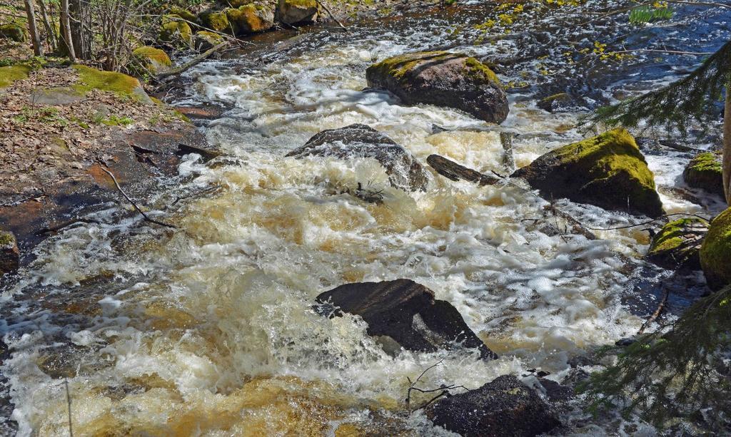 Skogsgårdar i Vimmerby kommun Smedserum 1:4 På fastigheten finns inga byggnader. Fastigheten areal enl. skogsbruksplan: Skogsmark 9,5 ha Mosse 0,9 ha Inäga 0,6 ha Totalt: 11,0 ha (Enl.