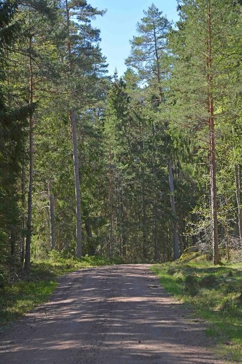 Fastigheten areal enl skogsbruksplan: Skogsmark 54,8 ha Mosse 6,8 ha Berg 0,3 ha Inäga 9,4 ha Väg 1,1 ha Övrigt 0,5 ha Totalt: 72,9 ha (Enl fastighetstaxeringen 68,66 ha totalt) Total Virkesvolym: