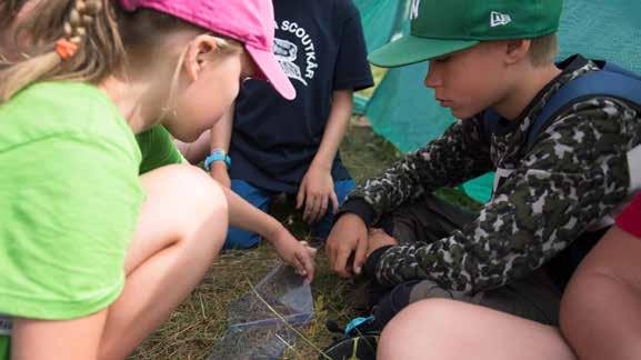Planera för gemenskap och trygghet Inom Scouterna finns det olika inriktningar beroende på vilken kår eller samverkansorganisation du tillhör.