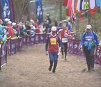 Vid DM i Sprint söndagen den 21 maj också den i regi av Härlövs IF tog HSOK-löpare hem fem titlar enligt följande: D14: Thea Bökman. H10: Kurt Sjöberg. D10: Felicia Persson.