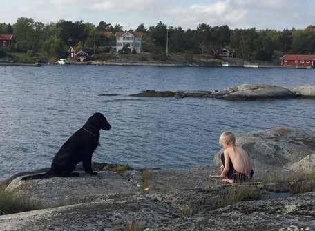 Vi tänkte att om det var ont om jobb på öarna så skulle vi inte bli så väl emottagna om vi kom ut och konkurrerade om dem. Men Stina och Ulf utropade direkt: Det finns hur mycket jobb som helst!