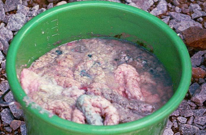 Fibersediment