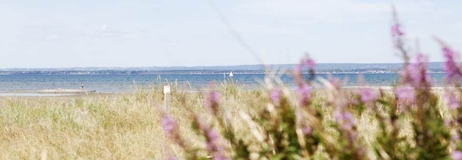 De små djuren som lever i och på bottnarna är mer eller mindre stationära och kommer därför återspegla vad den sammantagna effekten av våra utsläpp från land i forma av näring och miljögifter är.