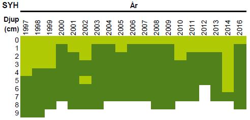 Syresättning i bottnen Redoxpotentialen (Eh) som man mäter syresättningen med skiftar vanligen till negativa värden (reducerade förhållanden) på 1-2 centimeters djup i sedimentet i sydhamnen.