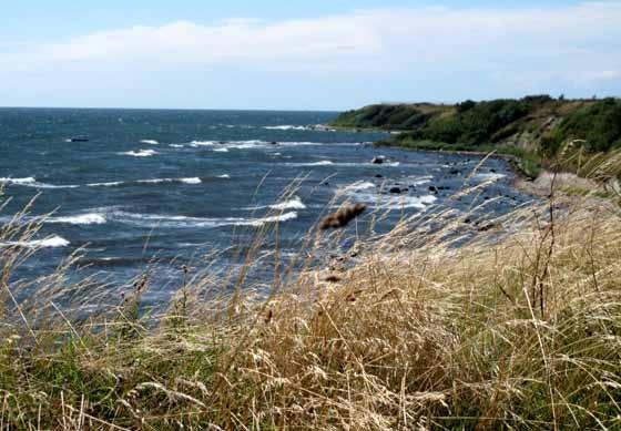 Cykel och vandringsleder på Bornholm Text och Foto Jaan Karsna Arnager Rönne Under de tre senaste somrarna har jag cyklat och vandrat på Bornholm.