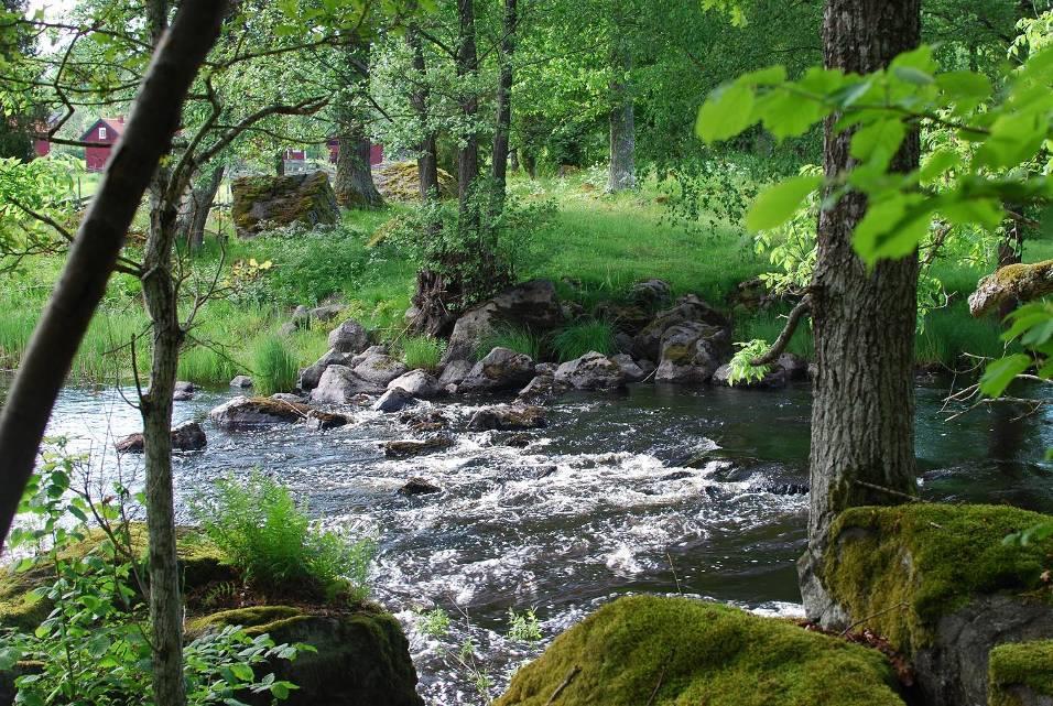 Figur 38. Första strömnacken ovan hölja, åtgärdslokal 5A vid Stensjö by. Foto: P. Johansson. Figur 39.
