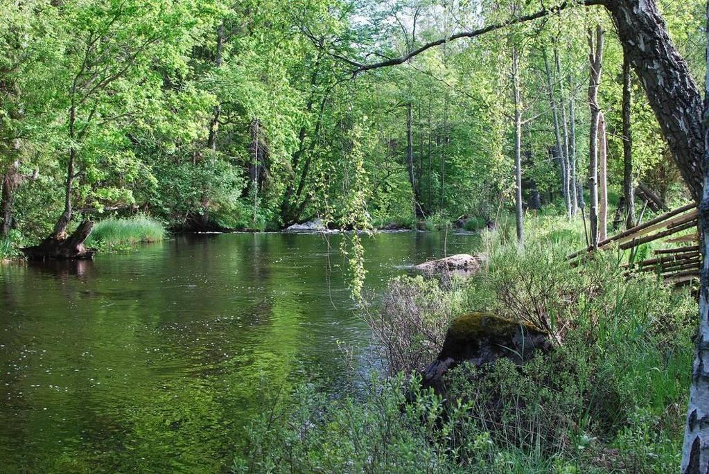 Antikvarisk bedömning och åtgärdsförslag Stensjöby är en känslig kulturhistorisk miljö. Det är viktigt att åtgärderna inte berör eller skadar lämningarna i området.