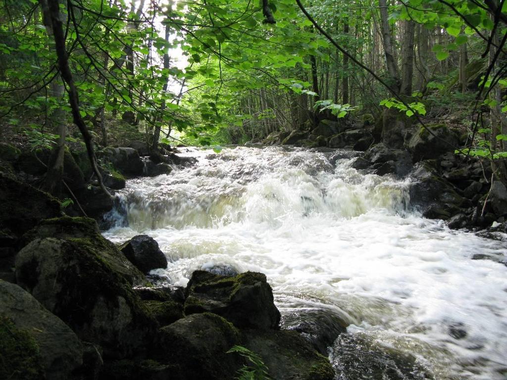Figur 44. Åtgärdslokal 6A (Kvarnbacken) Viråns södra gren nedströms djupsjön. Foto: T. Nydén.