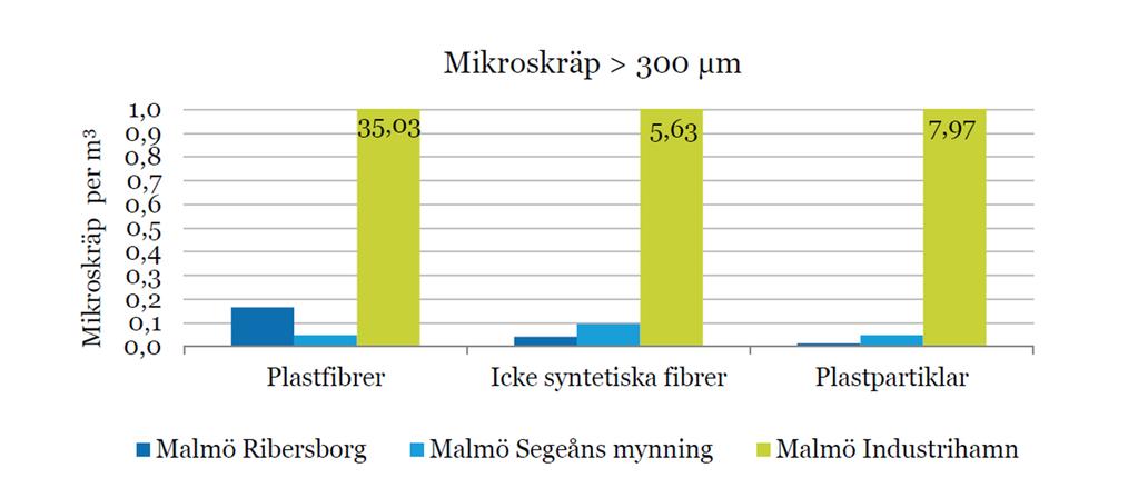 Mikroplast längs