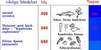 alger) och akritarker. Hur blir man eukaryot?