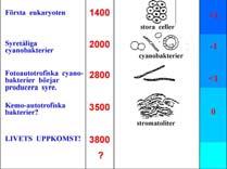 Lynn Margulis Prokaryota organismer i symbios: